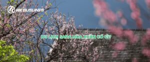 Du lịch Sapa mùa xuân cùng HK Buslines