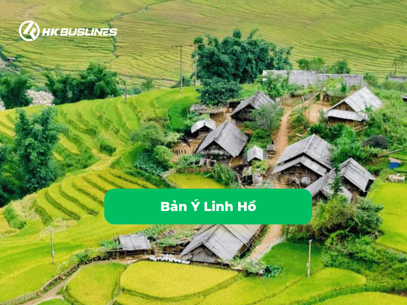 Bản Ý Linh Hồ