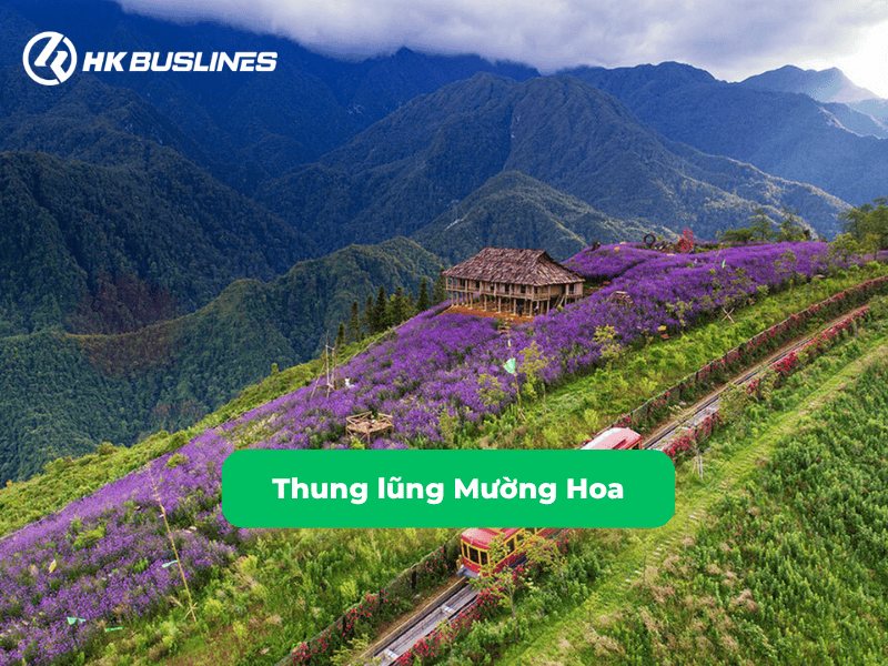 Thung lũng Mường Hoa